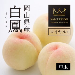 岡山県産 白鳳 YAMATESON PREMIUM SELECTION ロイヤル＋ 【中】7〜8玉