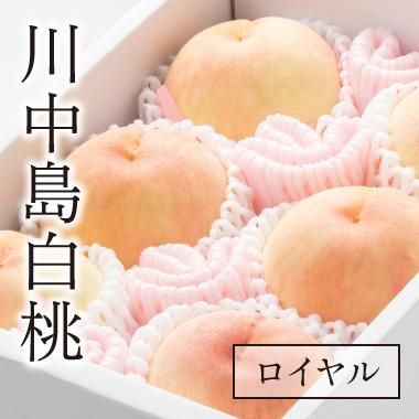 岡山県産瀬戸内白桃ロイヤル 14個入り 10b9d53c62262a47fc9d1db48f31cc