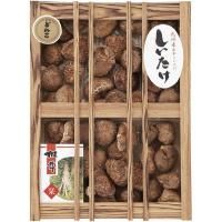 ʪ  ե 彣 ڤɤ å ͤ碌   н  £ Ȣ  ¸  ʪ KT-100S<img class='new_mark_img2' src='https://img.shop-pro.jp/img/new/icons30.gif' style='border:none;display:inline;margin:0px;padding:0px;width:auto;' />
