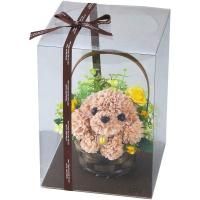  ե ƥեե եѥԡ ȥסɥ   襤   ¤ ƥꥢ 1000132672<img class='new_mark_img2' src='https://img.shop-pro.jp/img/new/icons30.gif' style='border:none;display:inline;margin:0px;padding:0px;width:auto;' />