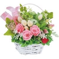 ե ץꥶ֥ɥե ֤   ԥ  襤   ƥꥢ 1000136029<img class='new_mark_img2' src='https://img.shop-pro.jp/img/new/icons30.gif' style='border:none;display:inline;margin:0px;padding:0px;width:auto;' />
