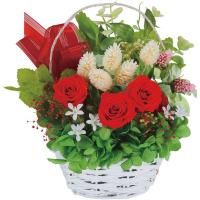  ե ץꥶ֥ɥե ֤   å   襤   ƥꥢ 1000136028<img class='new_mark_img2' src='https://img.shop-pro.jp/img/new/icons30.gif' style='border:none;display:inline;margin:0px;padding:0px;width:auto;' />