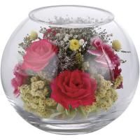 ե ɥ饤ե ȥե ܥȥեܡ ¤  襤   ƥꥢ 1000124718<img class='new_mark_img2' src='https://img.shop-pro.jp/img/new/icons30.gif' style='border:none;display:inline;margin:0px;padding:0px;width:auto;' />