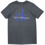 【Calvin Klein】小文字ロゴ半袖Tシャツ (128-158cm) GY/BL