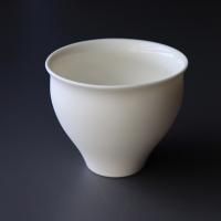 IDF-mini online shop