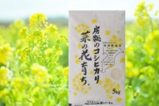【新米】令和4年度産 菜の花育ち（10kg）
