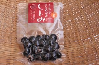 宍道湖産 大和しじみ(L)