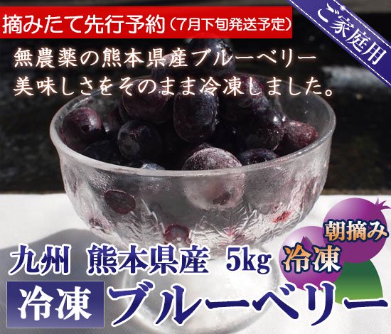 【先行予約】熊本産スムージー用大盛り冷凍ブルーベリー5キロ