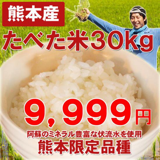【赤字覚悟の特別価格】熊本産たべた米30キロ