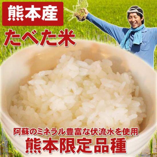 【定期購入12ヶ月】熊本産たべた米20kg