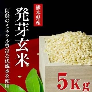 ¸ǯ̵ܻȯ긼5kg