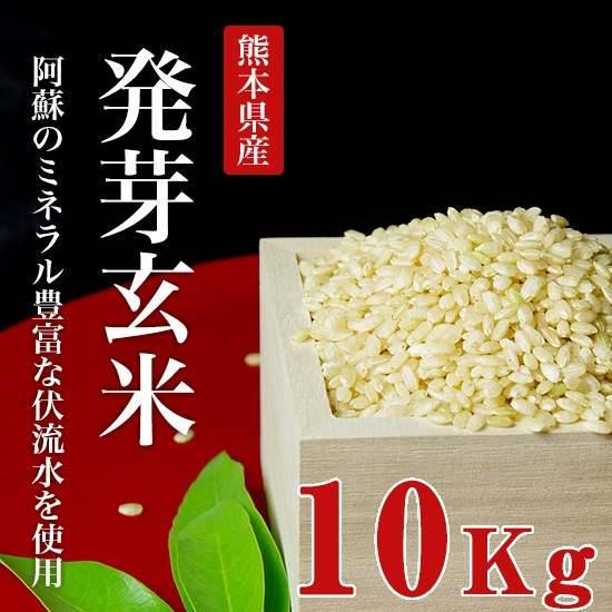 発芽玄米 10kg