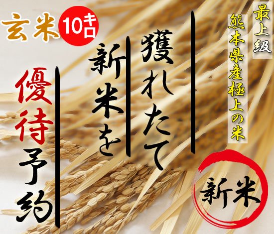 30年度熊本産新米ヒノヒカリ予約10キロ（玄米）｜平成産最後の新米です！ - 冷凍ブルーベリーも通販、熊本新米発芽玄米｜たべたせいか