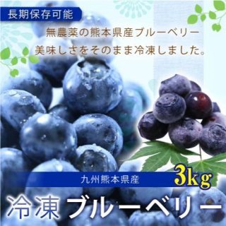 熊本産スムージー用大盛り冷凍ブルーベリー3キロ