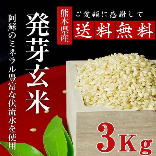 【送料無料】熊本産無農薬発芽玄米3kg