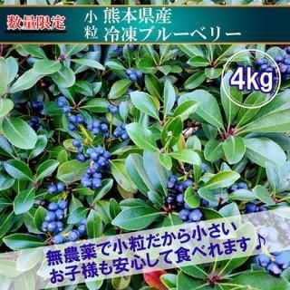 ܻࡼѾγ֥롼٥꡼4
