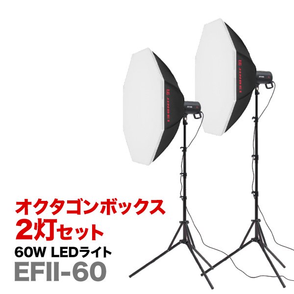 モデル撮影・アパレル系撮影キット（LEDライトEFII-60＋オクタゴンボックス２灯セット） 撮影機材、撮影用ライト、ストロボの専門店  OMNIVAS（オムニバス）