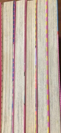 上村純子 / いけない！ルナ先生(オリジナル版) 全5巻セット