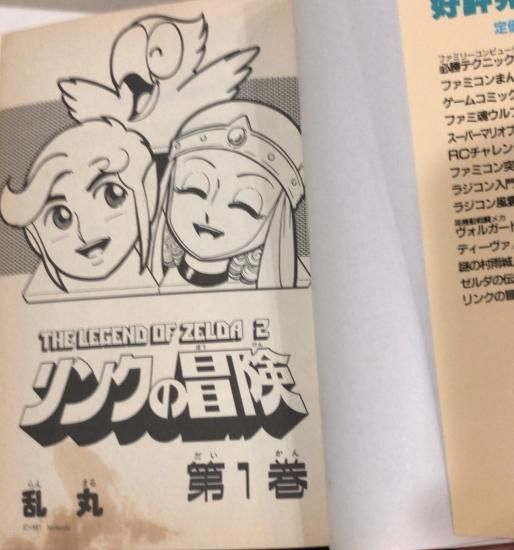 乱丸 リンクの冒険 全2巻セット 書肆鯖 ショシサバ 乱丸 リンクの冒険 全2巻セット 書肆鯖 ショシサバ