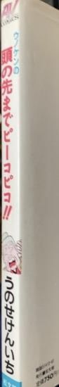 うのせけんいち / ウノケンの頭の先までピーコピコ！！ - 書肆鯖