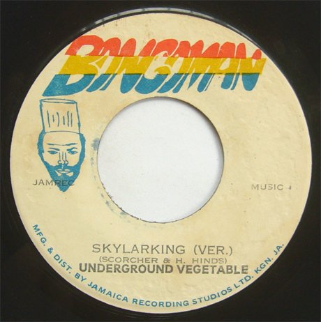 HORACE ANDY - SKYLARKING (BONGO MAN)