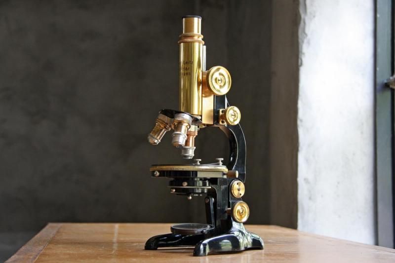 Ernst Leitz Wetzlar MICROSCOPE / ライツ社 顕微鏡 アンティーク ...