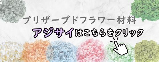 ¥¢¥¸¥µ¥¤