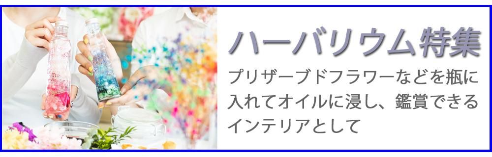 クラフトマニア （大阪サンセイ ネットショップ）