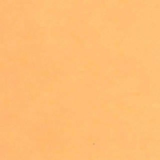 CM-116	楮紙　ペールオレンジ