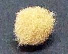 ݥꥨƥŷ15mmΣ25ˡʥ١<br/>ܥŷܤŷ