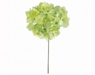 プリザーブド,造花,アーティフィシャルフラワー,問屋,東京堂,扇