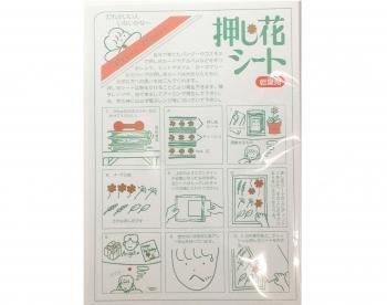AK-204 押し花シート 3mm厚