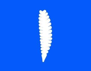 ӣݣ<br >ߥ⥶ɥƥڥͥݥġ