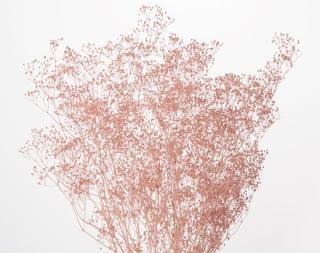フラワー （プリザーブド、ドライフラワー・造花・アート