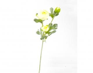 ݥåץʥ󥭥饹<br>ۥ磻