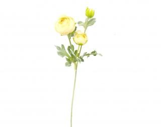 ݥåץʥ󥭥饹<br>١