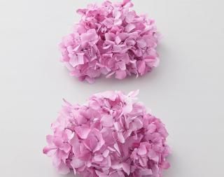 <img class='new_mark_img1' src='https://img.shop-pro.jp/img/new/icons1.gif' style='border:none;display:inline;margin:0px;padding:0px;width:auto;' /><br>ץꥶ֥ɥե<br>ᥢե쥢إå<br>ԥ