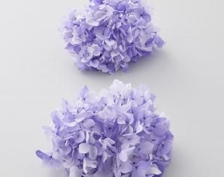 <img class='new_mark_img1' src='https://img.shop-pro.jp/img/new/icons1.gif' style='border:none;display:inline;margin:0px;padding:0px;width:auto;' /><br>ץꥶ֥ɥե<br>ᥢե쥢إå<br>ѡץ