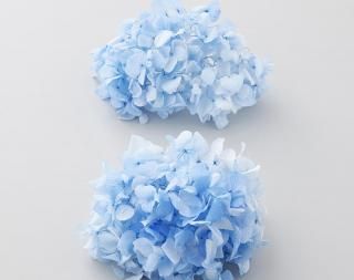 <img class='new_mark_img1' src='https://img.shop-pro.jp/img/new/icons1.gif' style='border:none;display:inline;margin:0px;padding:0px;width:auto;' /><br>ץꥶ֥ɥե<br>ᥢե쥢إå<br>֥롼