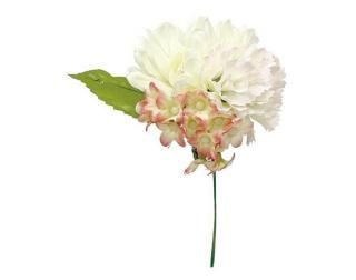 <img class='new_mark_img1' src='https://img.shop-pro.jp/img/new/icons1.gif' style='border:none;display:inline;margin:0px;padding:0px;width:auto;' />٥ߥåԥå<br>CREAM