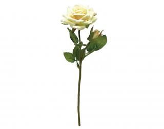 <img class='new_mark_img1' src='https://img.shop-pro.jp/img/new/icons1.gif' style='border:none;display:inline;margin:0px;padding:0px;width:auto;' />ץ졼<br>CREAM