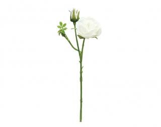<img class='new_mark_img1' src='https://img.shop-pro.jp/img/new/icons1.gif' style='border:none;display:inline;margin:0px;padding:0px;width:auto;' />ץ졼أ<br>CREAM
