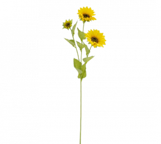 ե<br>