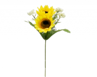 Ҥޤԥå<br>