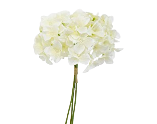 «3ܡ«<br>ۥ磻