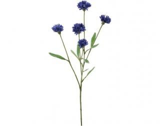 䥰ޥץ졼<br>BLU