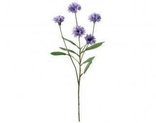 䥰ޥץ졼<br>L/L