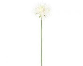 <img class='new_mark_img1' src='https://img.shop-pro.jp/img/new/icons1.gif' style='border:none;display:inline;margin:0px;padding:0px;width:auto;' />ѥޥ<br>W