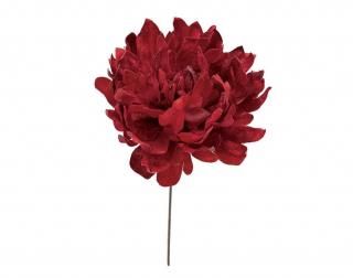 ٥٥åȥԥˡإå<br>RED

