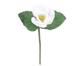 󤻾ʡ<br>إԥåʣܡ<br>ۥ磻